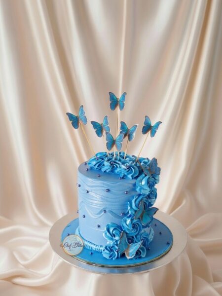 Butterfly theme Cake
