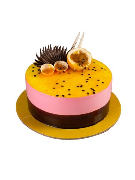 Chocolate Raspberry Gateaux with layers of chocolate sponge and raspberry cream