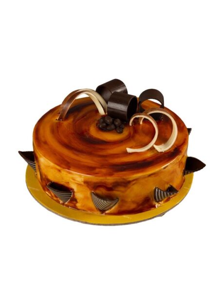 Irish Chocochip Cake with soft sponge and chocolate chip topping