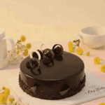 Dutch Chocolate Truffle Cake
