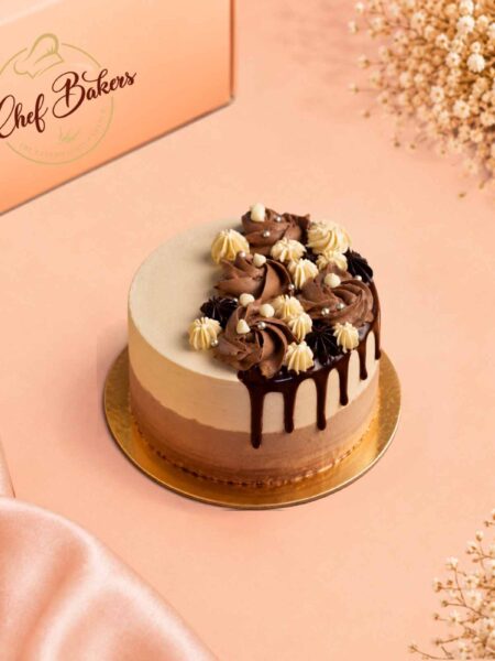 Chocolate Bento Cakes