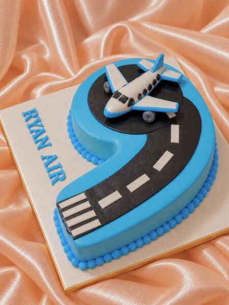Airplane Adventure Number 9 Cake