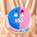 He or She Gender Reveal Cake