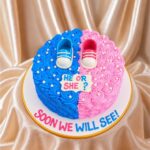 He or She Gender Reveal Cake